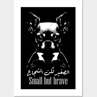 Small But Brave: Chihuahua Boxing Champion Posters and Art